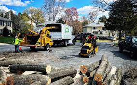  Carey, ID Tree Removal Pros